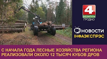 <b>Новости Гродно. 13.10.2023</b>. С начала года лесные хозяйства региона реализовали около 12 тысяч кубов дров