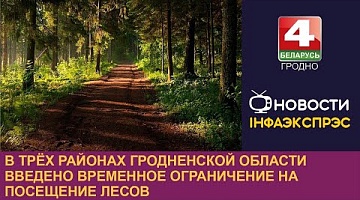 <b>Новости Гродно. 29.03.2024</b>. В трёх районах Гродненской области введено временное ограничение на посещение лесов