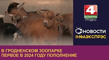 <b>Новости Гродно. 30.01.2024</b>. В Гродненском зоопарке первое в 2024 году пополнение