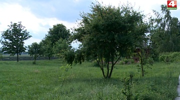 <b>Новости Гродно. 29.06.2020</b>. Госпрограмма "Белорусский лес": места отдыха