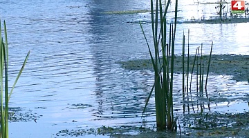 <b>Новости Гродно. 14.08.2020</b>. Снизился уровень Немана