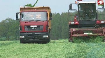 <b>Новости Гродно. 05.06.2020</b>. Первый укос трав   