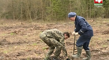 <b>04.04.2017</b>. Порядок в белорусских лесах