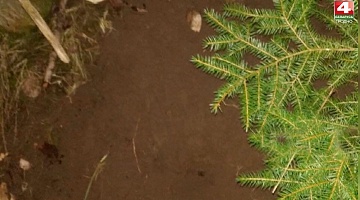 <b>Новости Гродно. 17.11.2021</b>. Уголовная ответственность за хранение наркотиков