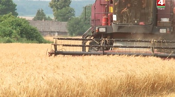 <b>Новости Гродно. 04.07.2019</b>. Уборочная кампания стартовала в регионе