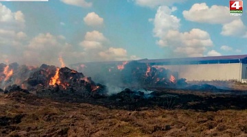 <b>Новости Гродно. 17.08.2020</b>. Пожар около сеносклада в Щучинском районе