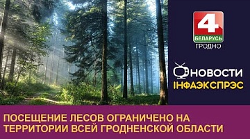 <b>Новости Гродно. 10.07.2023</b>. Посещение лесов ограничено на территории всей Гродненской области