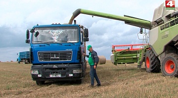 <b>Новости Гродно. 08.09.2021</b>. Лучших хлеборобов в регионе наградят          