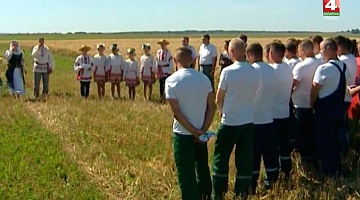 <b>Новости Гродно. 13.08.2018</b>. Завершение уборочной в Щучинском районе