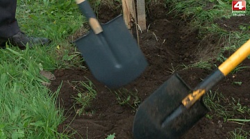 <b>Новости Гродно. 15.09.2021</b>. Аллея народного единства заложена в Гродно                 