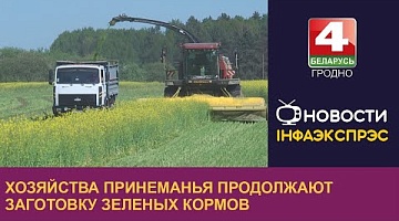 <b>Новости Гродно. 30.05.2024</b>. Хозяйства Принеманья продолжают заготовку зелёных кормов  