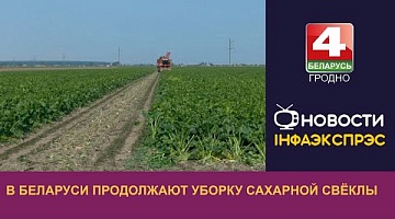 <b>Новости Гродно. 14.09.2023</b>. В Беларуси продолжают уборку сахарной свёклы