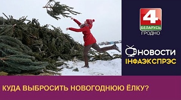<b>Новости Гродно. 10.01.2024</b>. Гродненцам рассказали, куда можно выбросить новогоднюю ёлку