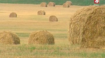 <b>Новости Гродно. 01.08.2018</b>. Уборочная кампания в регионе