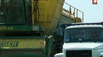 <b>Новости Гродно. 08.07.2019</b>. Заготовка овощей в сельхозкооперативах 