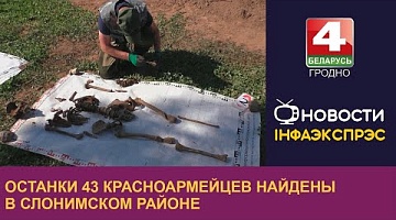 <b>Новости Гродно. 01.08.2023</b>. Останки 43 красноармейцев найдены в Слонимском районе