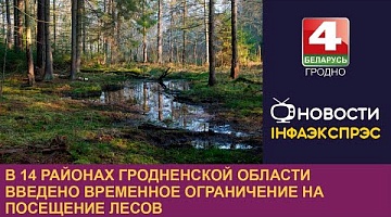 <b>Новости Гродно. 25.07.2023</b>. В 14 районах Гродненской области введено временное ограничение на посещение лесов