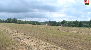 <b>Новости Гродно. 17.06.2020</b>. Первый укос трав завершается в Берестовицком районе