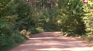 <b>Новости Гродно. 18.09.2018</b>. 3-летнюю девочку нашли в лесу возле Коробчиц