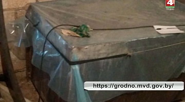 <b>Новости Гродно. 25.07.2019</b>. В Берестовицком районе конфисковано 1,5 тонны браги