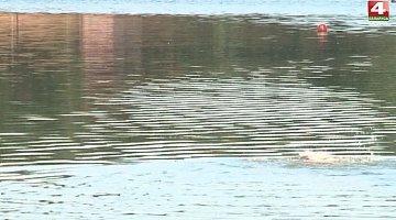 <b>Новости Гродно. 03.08.2020</b>. Запрет на купание в Гродненском районе