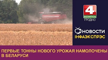 <b>Новости Гродно. 05.07.2023</b>. Первые тонны нового урожая намолочены в Беларуси