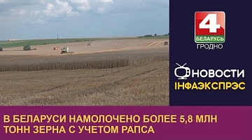 <b>Новости Гродно. 16.08.2023</b>. В Беларуси намолочено более 5,8 млн тонн зерна с учетом рапса
