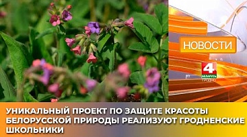 <b>Новости Гродно. 21.04.2025</b>. Уникальный проект по защите красоты белорусской природы реализуют гродненские школьники