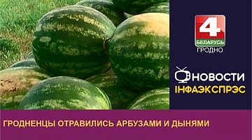 <b>Новости Гродно. 23.08.2023</b>. Гродненцы отравились арбузами и дынями
