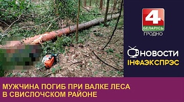 <b>Новости Гродно. 29.05.2024</b>. Мужчина погиб при валке леса в Свислочском районе