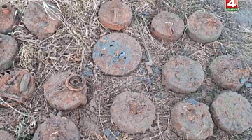 <b>Новости Гродно. 28.01.2020</b>. Противотанковые мины найдены в Зельвенском районе
