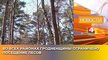<b>Новости Гродно. 03.04.2025</b>. Во всех районах Гродненщины ограничено посещение лесов