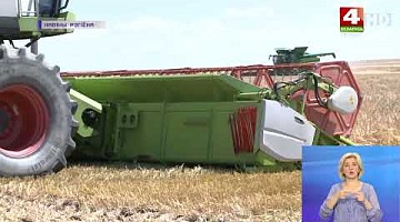 <b>Новости Гродно. 14.07.2022</b>. Аграрии Гродненщины планируют собрать 1,5 миллиона тонн зерна