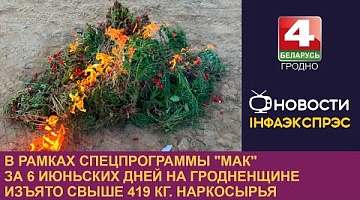 <b>Новости Гродно. 06.06.2024</b>. В рамках спецпрограммы "Мак" за 6 июньских дней на Гродненщине изъято свыше 419 кг. наркосырья