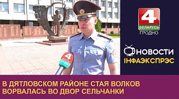 <b>Новости Гродно. 14.06.2024</b>. В Дятловском районе стая волков ворвалась во двор сельчанки