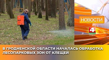 <b>Новости Гродно. 14.04.2025</b>. В Гродненской области началась обработка лесопарковых зон от клещей