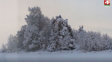 Бодрое утро. Выставка "Зимняя сказка". 27.01.2021