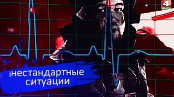 Пульс. 10.11.2023