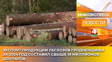 <b>Новости Гродно. 31.01.2025</b>. Экспорт продукции лесхозов Гродненщины за 2024 год составил свыше 19 миллионов долларов