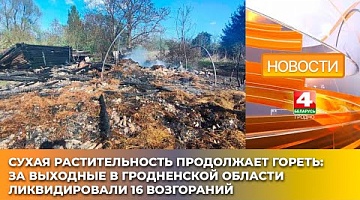 <b>Новости Гродно. 30.04.2025</b>. Сухая растительность продолжает гореть: за выходные на Гродненщине ликвидировали 16 возгораний