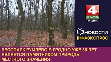 <b>Новости Гродно. 17.11.2023</b>. Лесопарк Румлёво в Гродно уже 30 лет является памятником природы местного значения