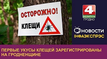 <b>Новости Гродно. 04.03.2024</b>. Первые укусы клещей зарегистрированы на Гродненщине