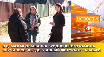 <b>Новости Гродно. 04.04.2025</b>. В д. Малая Ольшанка Гродненского района случилось ЧП, где главный фигурант - алабай
