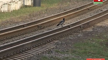 <b>07.09.2017</b>. Несчастные случаи на железной дороге