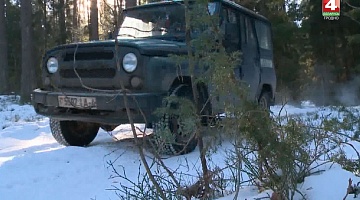 <b>Новости Гродно. 03.01.2019</b>. Факты незаконного высекания елок