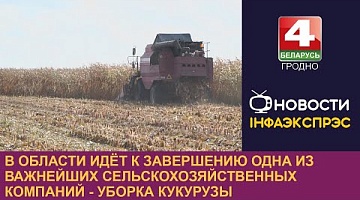 <b>Новости Гродно. 16.10.2023</b>. В области идёт к завершению одна из важнейших сельскохозяйственных компаний-уборка кукурузы