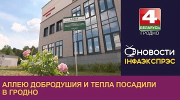 <b>Новости Гродно. 11.06.2024</b>. Аллею добродушия и тепла посадили в Гродно