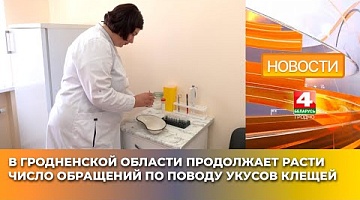 <b>Новости Гродно. 19.05.2025</b>. В Гродненской области продолжает расти число обращений по поводу укусов клещей