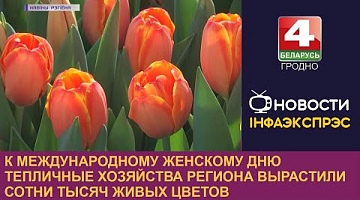 <b>Новости Гродно. 07.03.2023</b>. К Международному женскому дню тепличные хозяйства региона вырастили сотни тысяч живых цветов