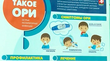 <b>Новости Гродно. 12.09.2018</b>. В области планируется привить от гриппа не менее 40 процентов населения